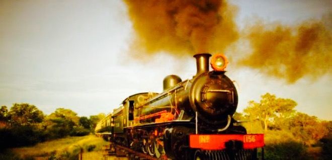 Royal Livingstone Express by Bushtracks