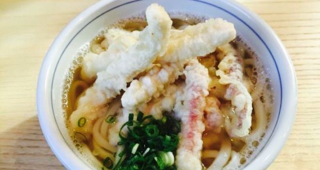 Yoki Udon