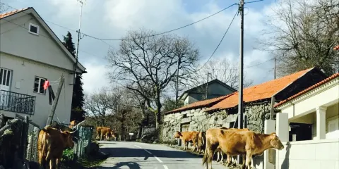 Café Restaurante O Encontro