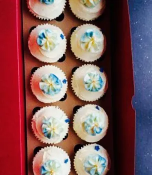 Butterfly Cup Cakes