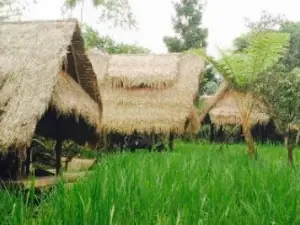 Sapu Lidi Makan Di Sawah