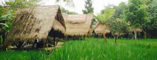Sapu Lidi Makan Di Sawah