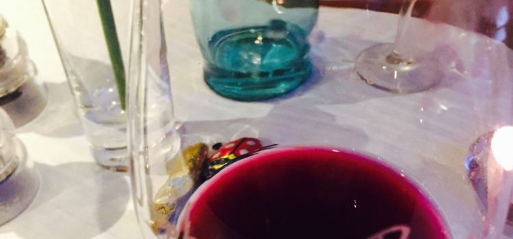 Vinothek Und Winzercafe Kaisergarten