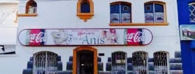 Flor de Anis