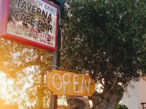 Taverna Olive Tree