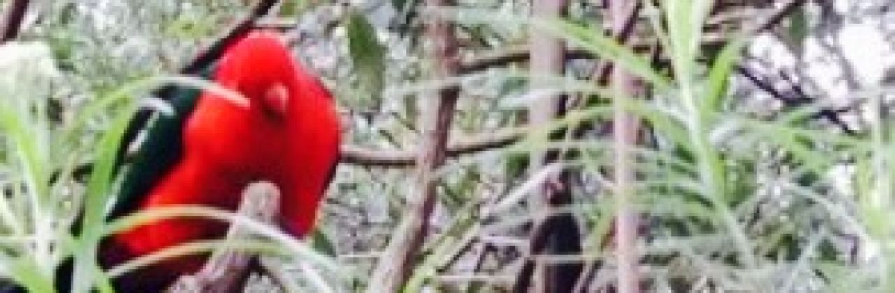 Grants On Sherbrooke