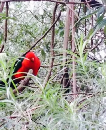 Grants On Sherbrooke