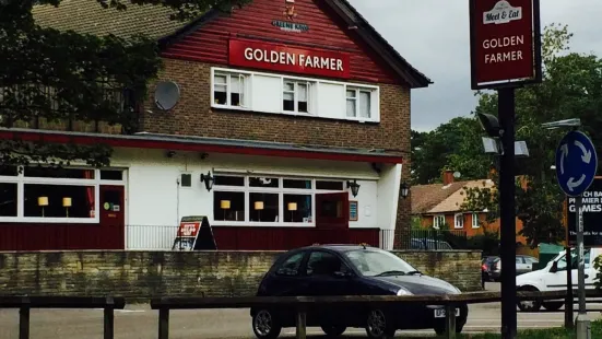 The Golden Farmer