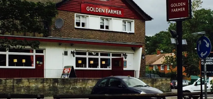The Golden Farmer