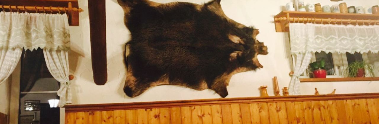 Pension & Gasthaus Riedel