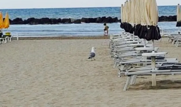 Bagno Vela Restaurant