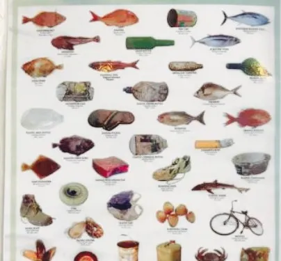 Geraldine Fish Supply