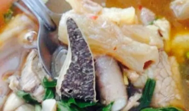 Song Pee Nong Dinosour