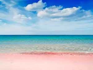 ピンク サンド ビーチ