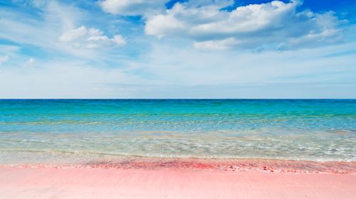 Pink Sands Beach