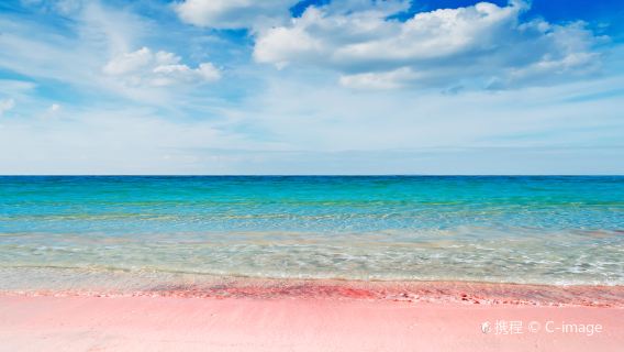 Pink Sands Beach