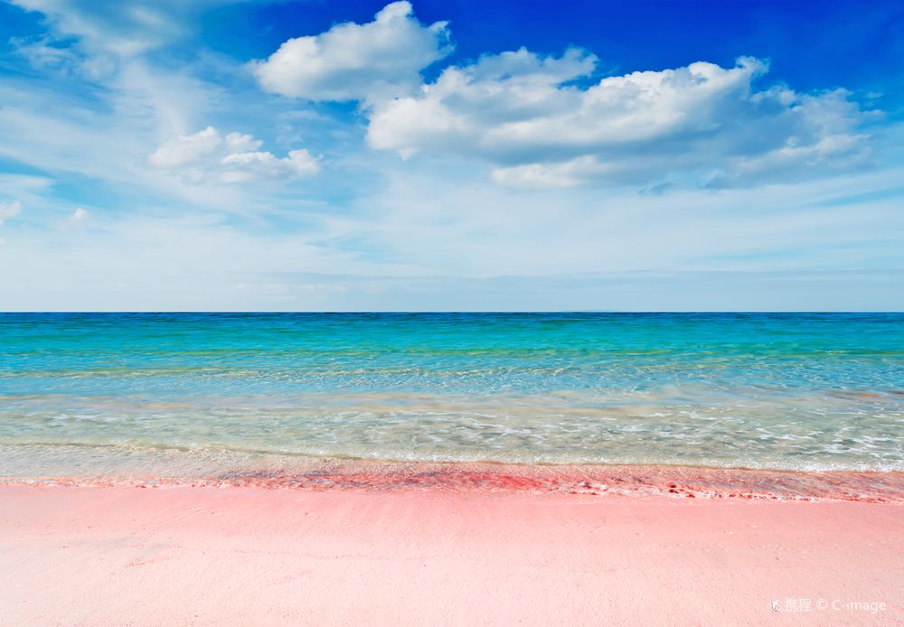 Pink Sands Beach
