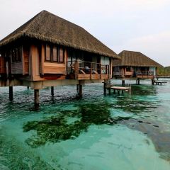 Coral Bar & Lounge User Photo