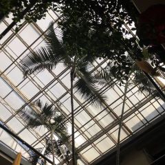 祥云荟馆庭院餐厅(祥云街店) User Photo