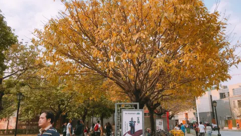 佛山嶺南新天地 attraction in 佛山