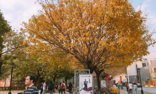 Foshan Lingnan XINTIANDI