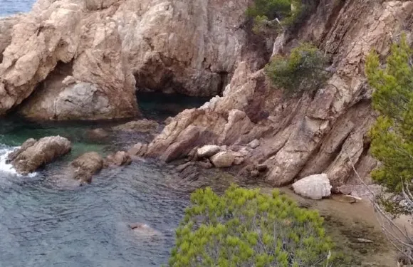 勒斯帕米爾斯酒店