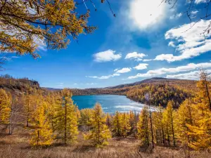 Popular Fall Viewing Attractions in Zhalantun