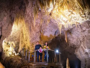Waitomo Glowworm Caves