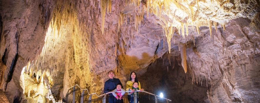 Waitomo Caves