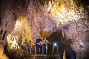 Waitomo Caves