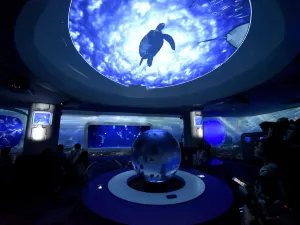 新江之島水族館