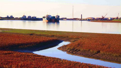 The Yellow River Delta Tourism Island of Eco-culture