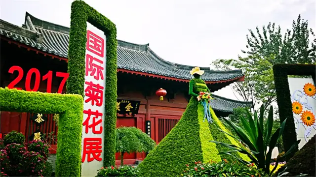 Chrysanthemum Viewing in Kaifeng
