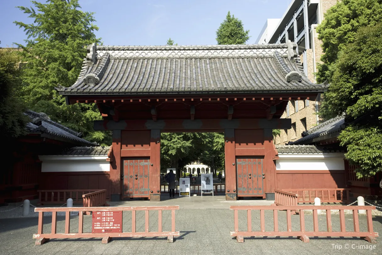 5_The University of Tokyo