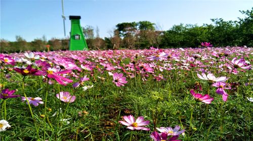 常寧ミリオンサクラガーデン