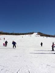 朔州右玉南山滑雪場