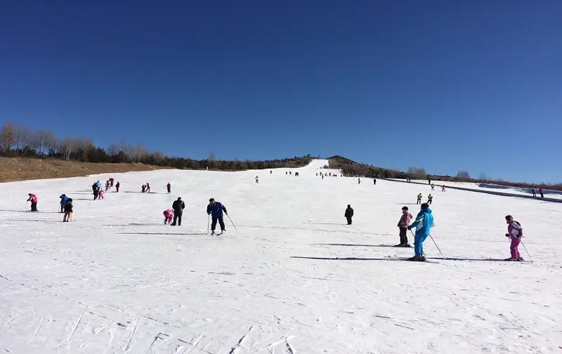 右玉南山滑雪場