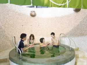 Hot Springs in Hakone