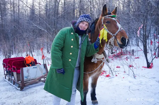 Snow Sledding in Shangzhi