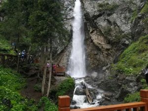 남산 목장