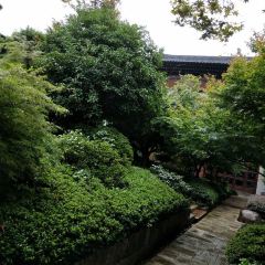 云澜湾·上膳房 User Photo