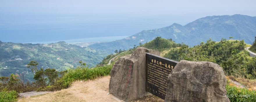 타이마리 향