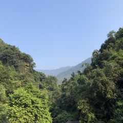 清水河生態魚王農莊張用戶圖片