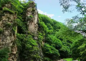 Yulongxi Primeval Forest Park