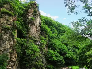 Yulongxi Primeval Forest Park