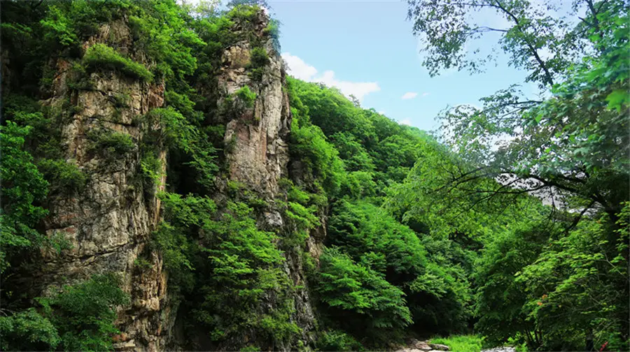 Yulongxi Primeval Forest Park