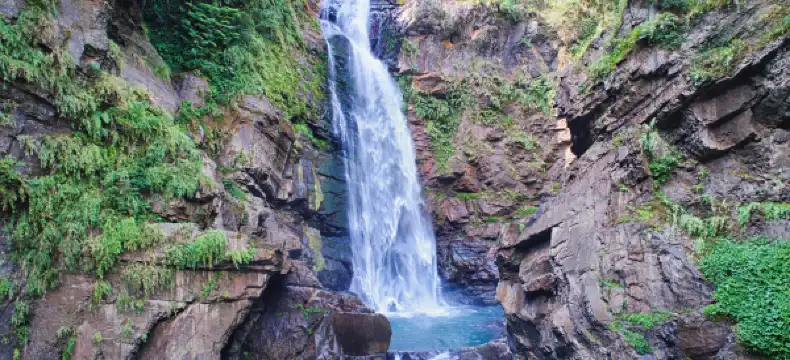 中壢附近的飯店