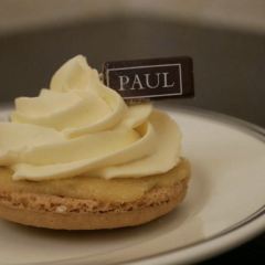 Paul 여행 사진