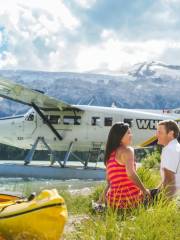 Harbour Air Seaplanes