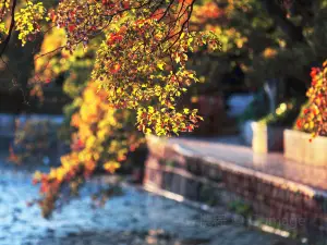 추이후 공원(취호 공원)
